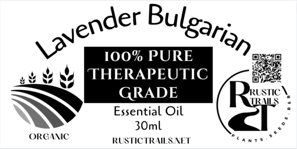 Organic Therapeutic Lavender Bulgarian Essential Oil